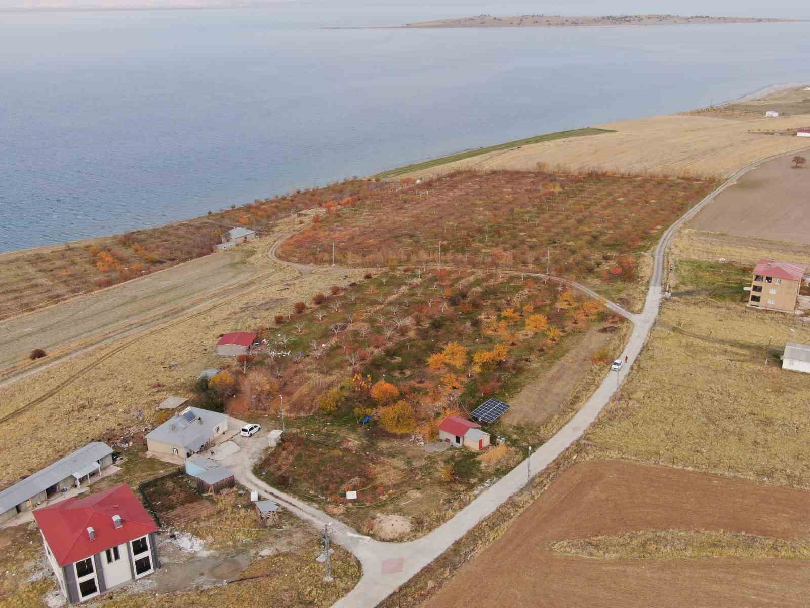 Van’da kartpostallık sonbahar manzaraları