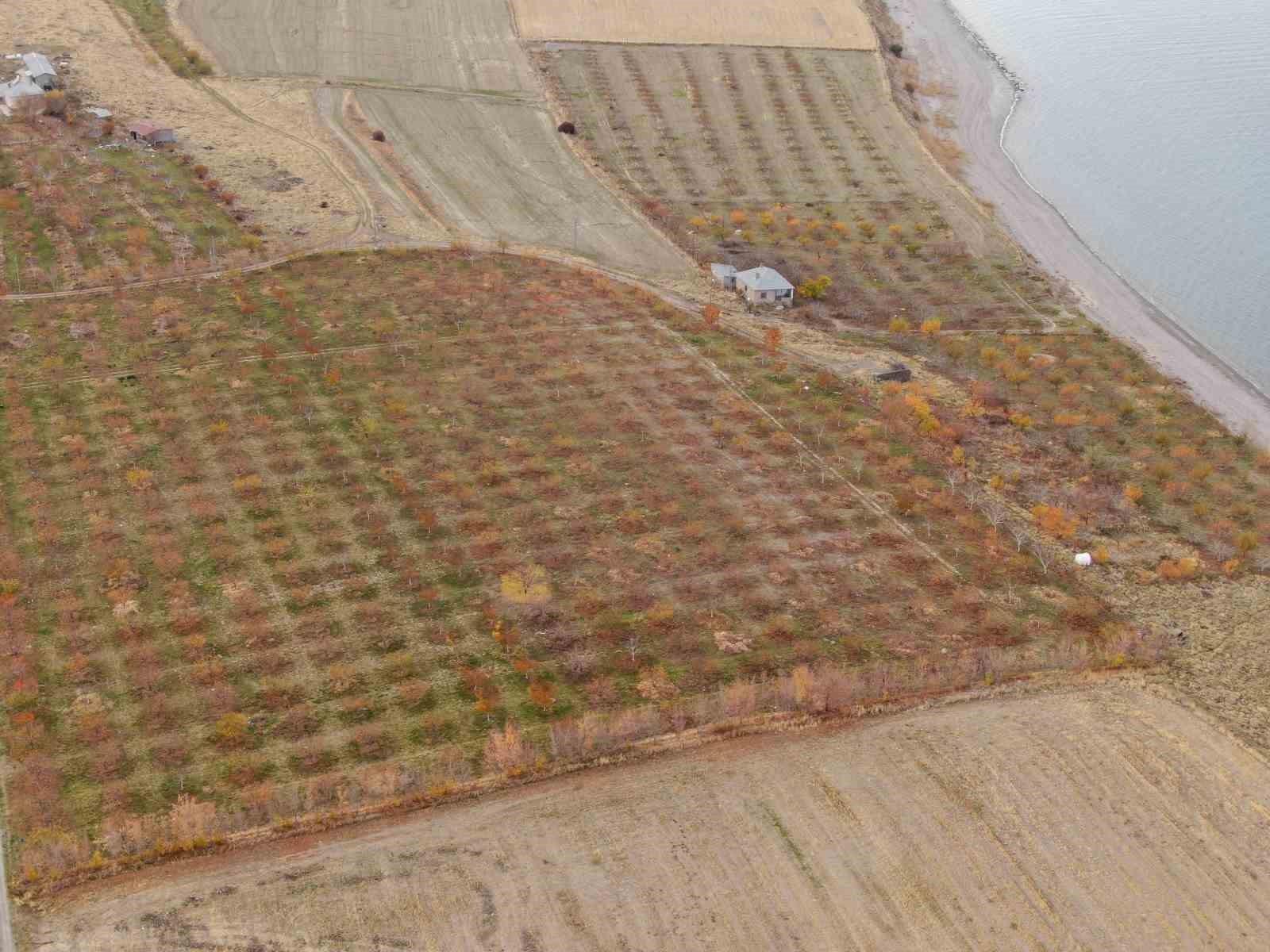 Van’da kartpostallık sonbahar manzaraları