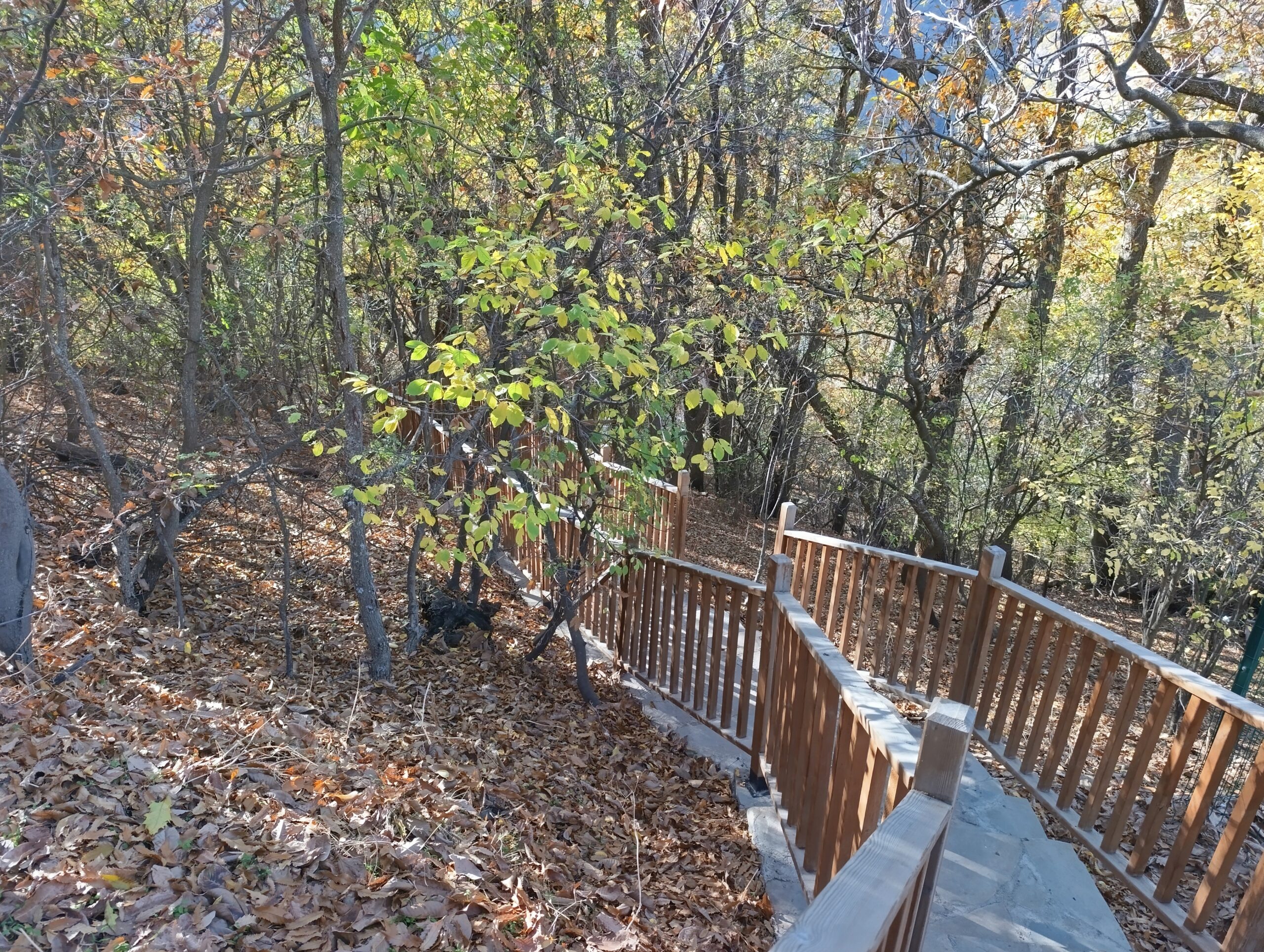 Bahçesaray’da Sonbahar: Dökülen Yapraklar İlçeye Büyülü Bir Atmosfer Kattı