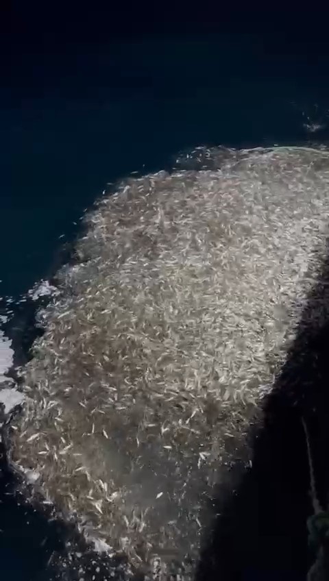 Çanakkale’de balıkçılardan örnek davranış