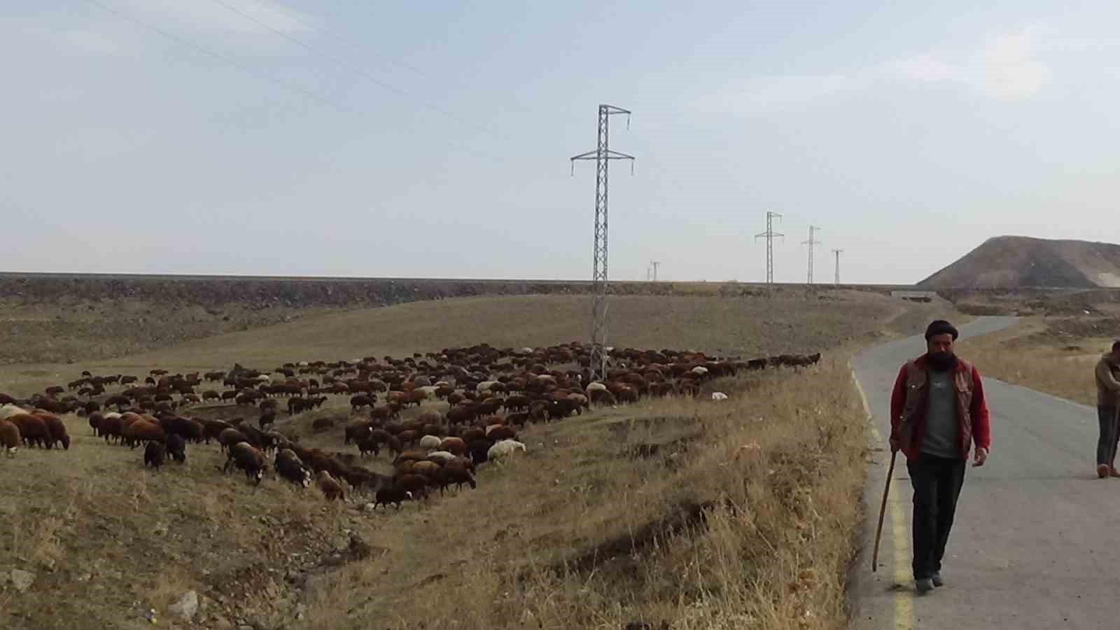 Kars’ta göçerlerin zorlu yolculuğu başladı