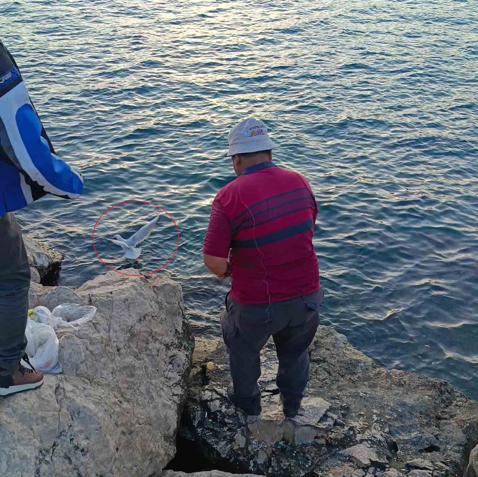 Antalya’da Balıkçı Oltasına Balık Yerine Martı Takıldı