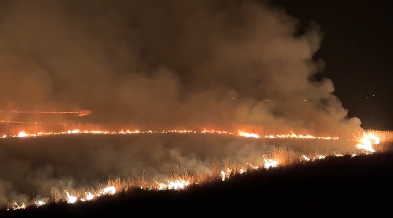 Yüksekova’da kuş cenneti Nehil Sazlığı’ndaki yangın