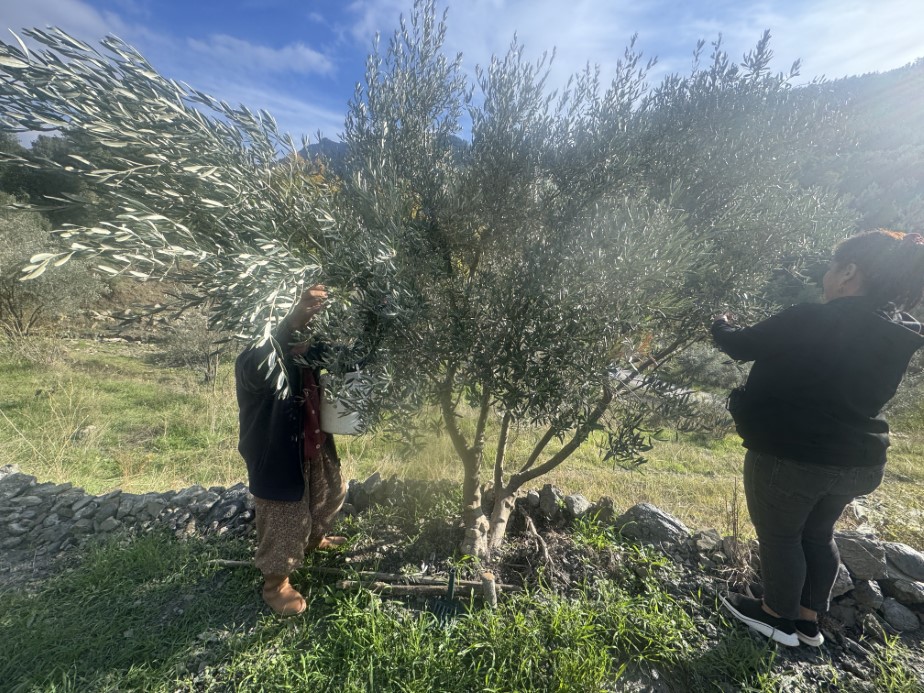 88 yaşındaki Emine nine gençlere taş çıkarıyor