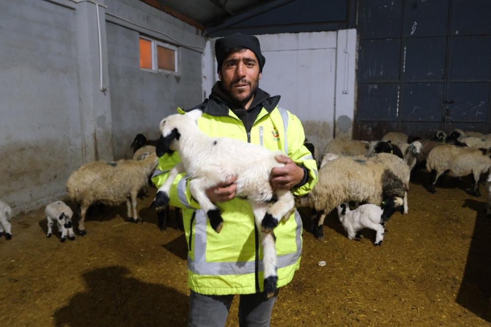 Yüzde 50 hibe desteğiyle 8 milyon TL’lik çiftlik kurdu