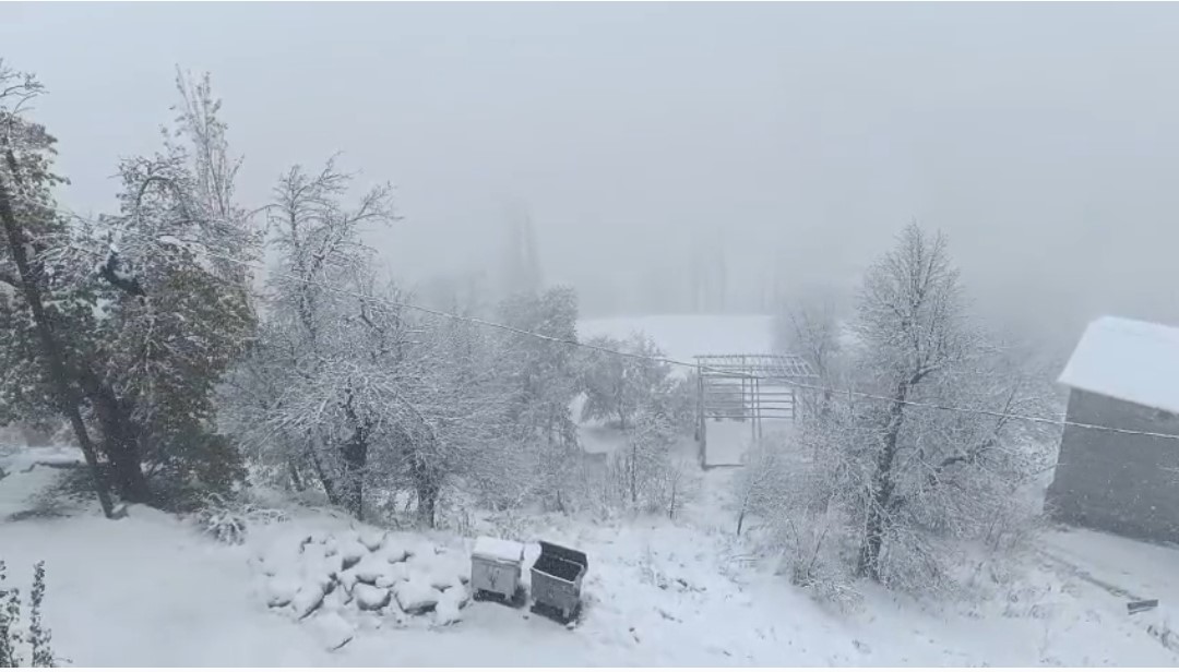 Van’ın Bahçesaray ilçesi beyaza büründü