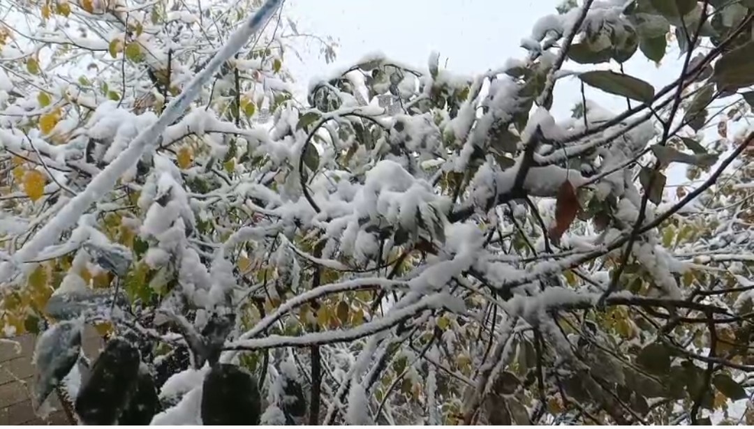 Van’ın Bahçesaray ilçesinde kar etkili oldu