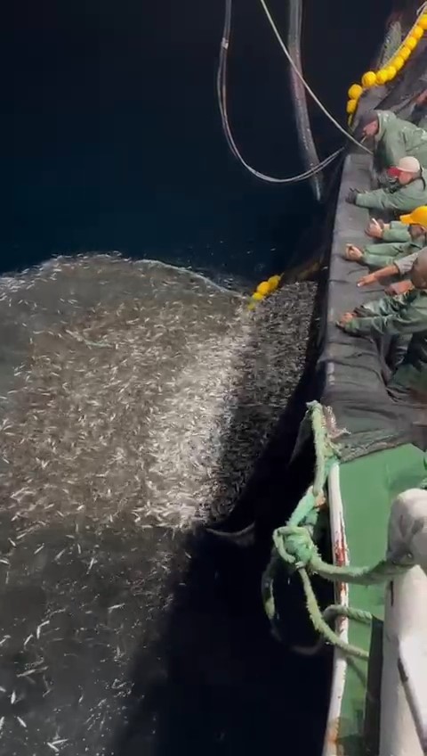 Çanakkale’de balıkçılardan örnek davranış