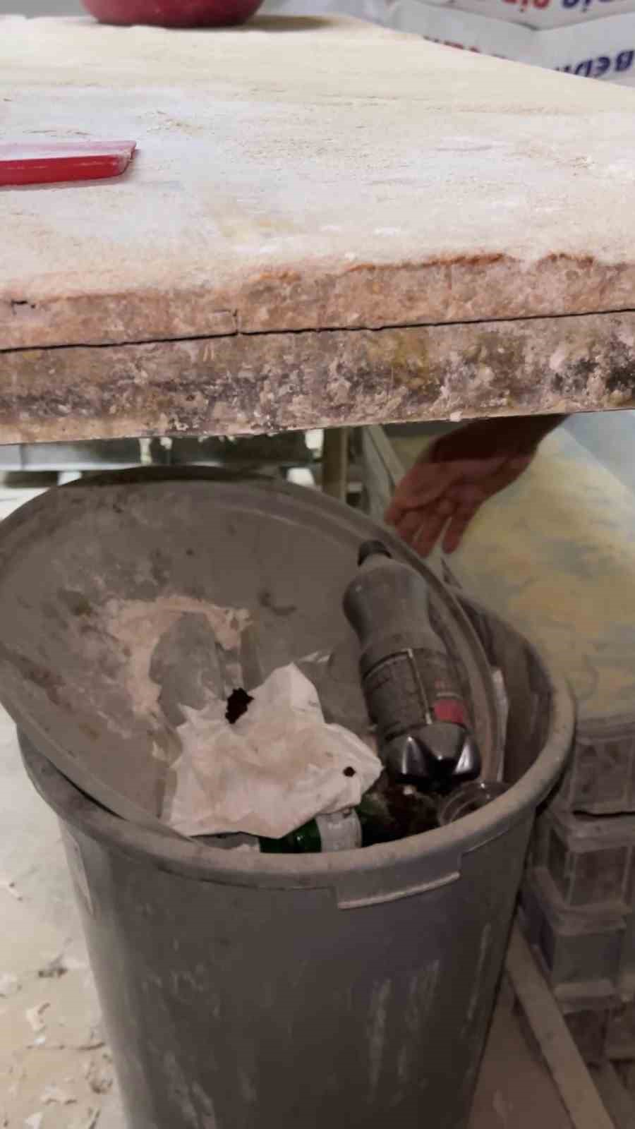 Fırın denetiminde mide bulandıran görüntüler, zabıta böcek çeşitlerini saymakla bitiremedi