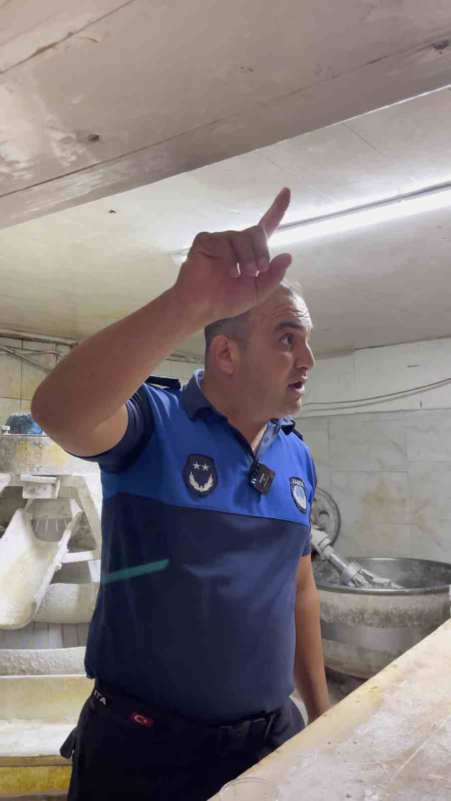 Fırın denetiminde mide bulandıran görüntüler, zabıta böcek çeşitlerini saymakla bitiremedi