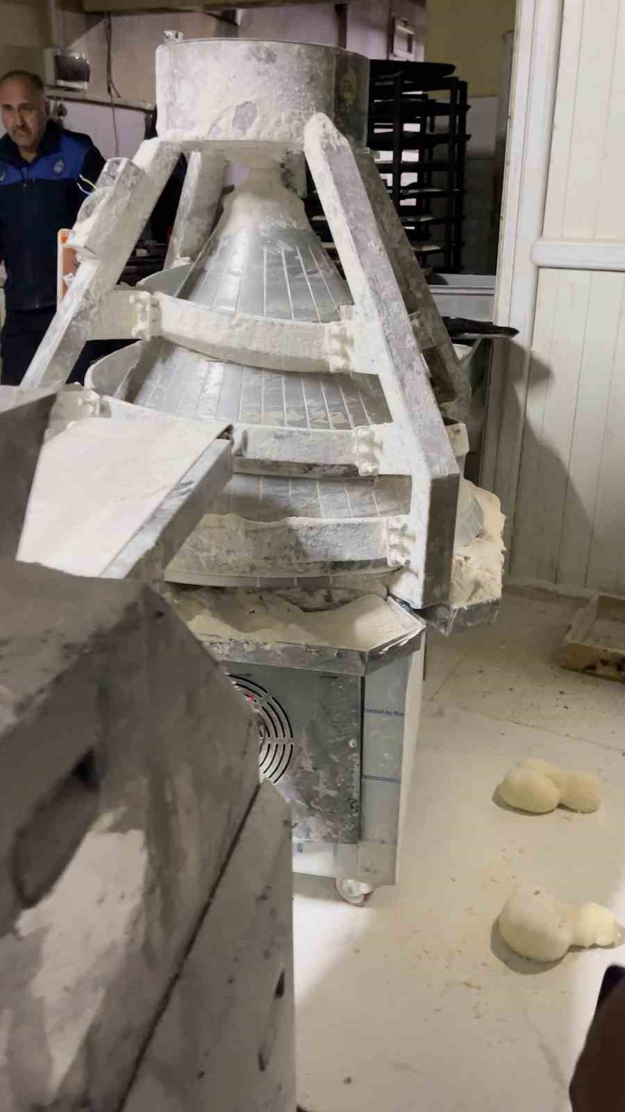 Fırın denetiminde mide bulandıran görüntüler, zabıta böcek çeşitlerini saymakla bitiremedi