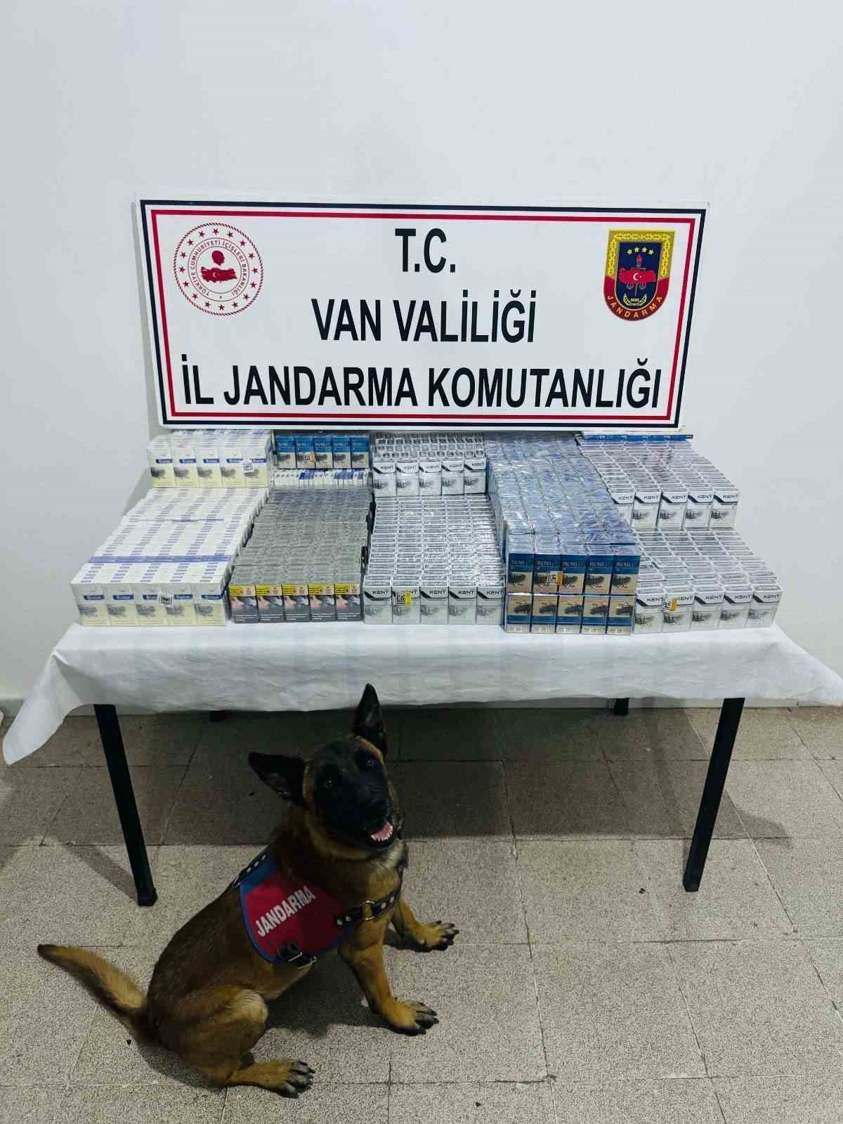 Van’da binlerce paket kaçak sigara ele geçirildi