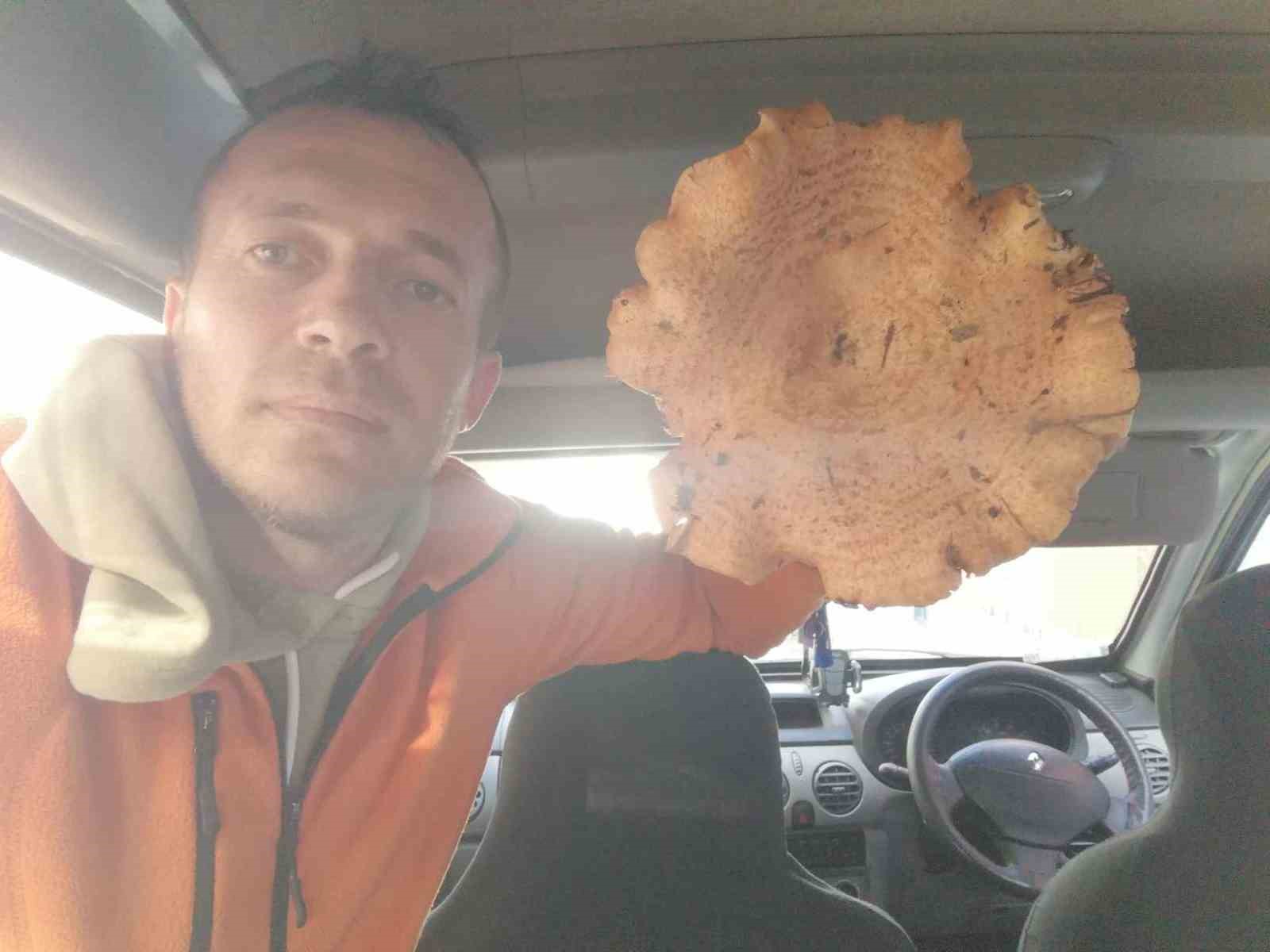 Dev mantar görenleri  şaşırtıyor