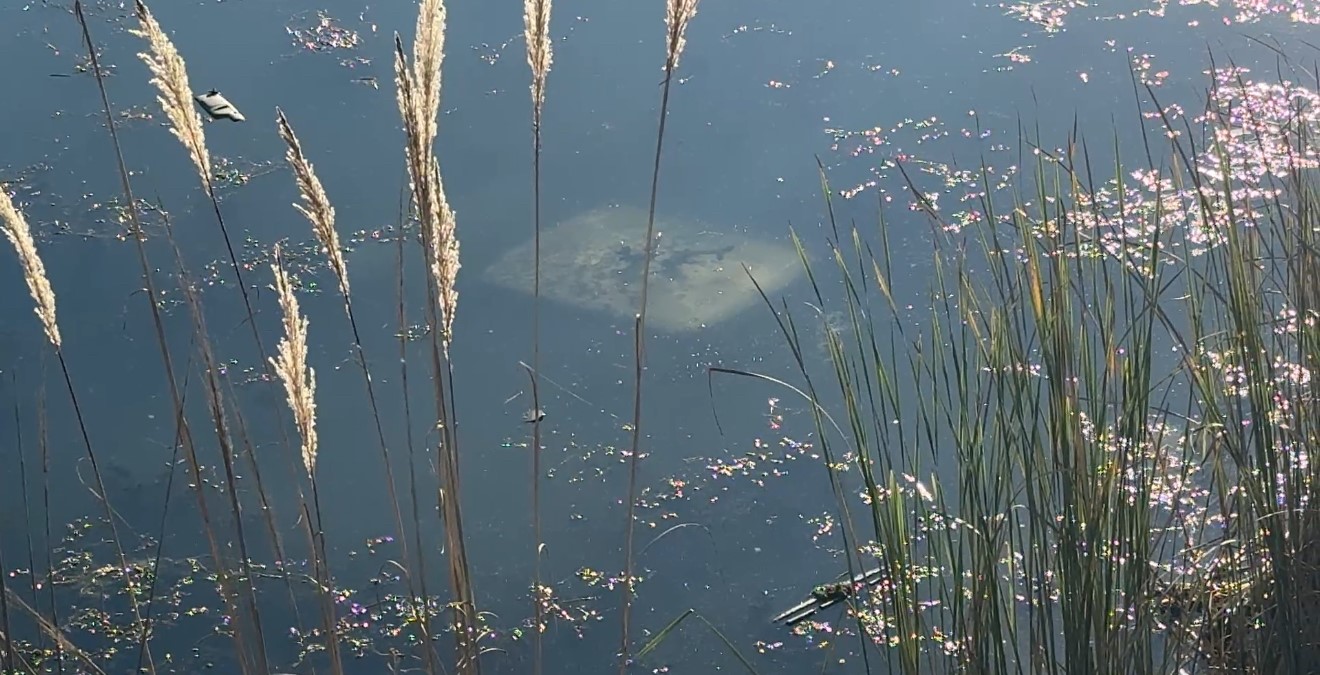 Ehliyetsiz gencin tehlikeli gezisi kazayla bitti