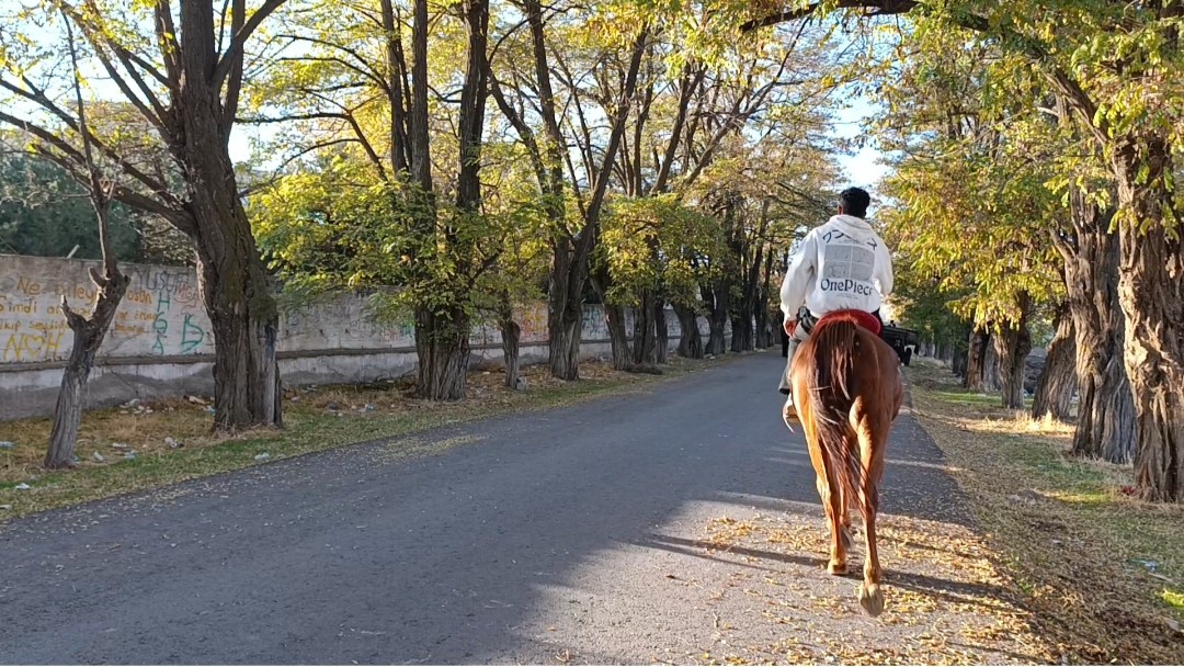 Van’da sonbahar renk cümbüşü