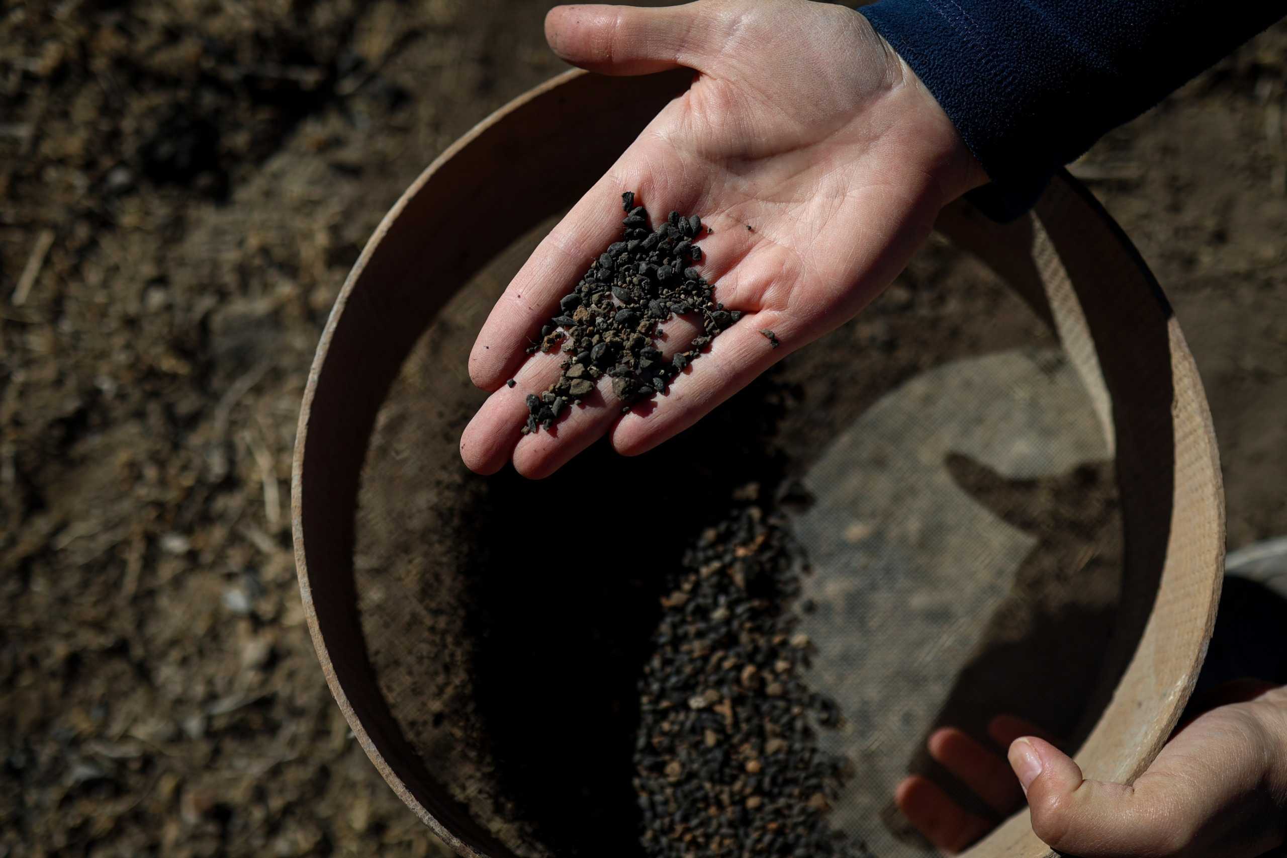 Gürpınar’da 5 bin yıllık arpa taneleri bulundu