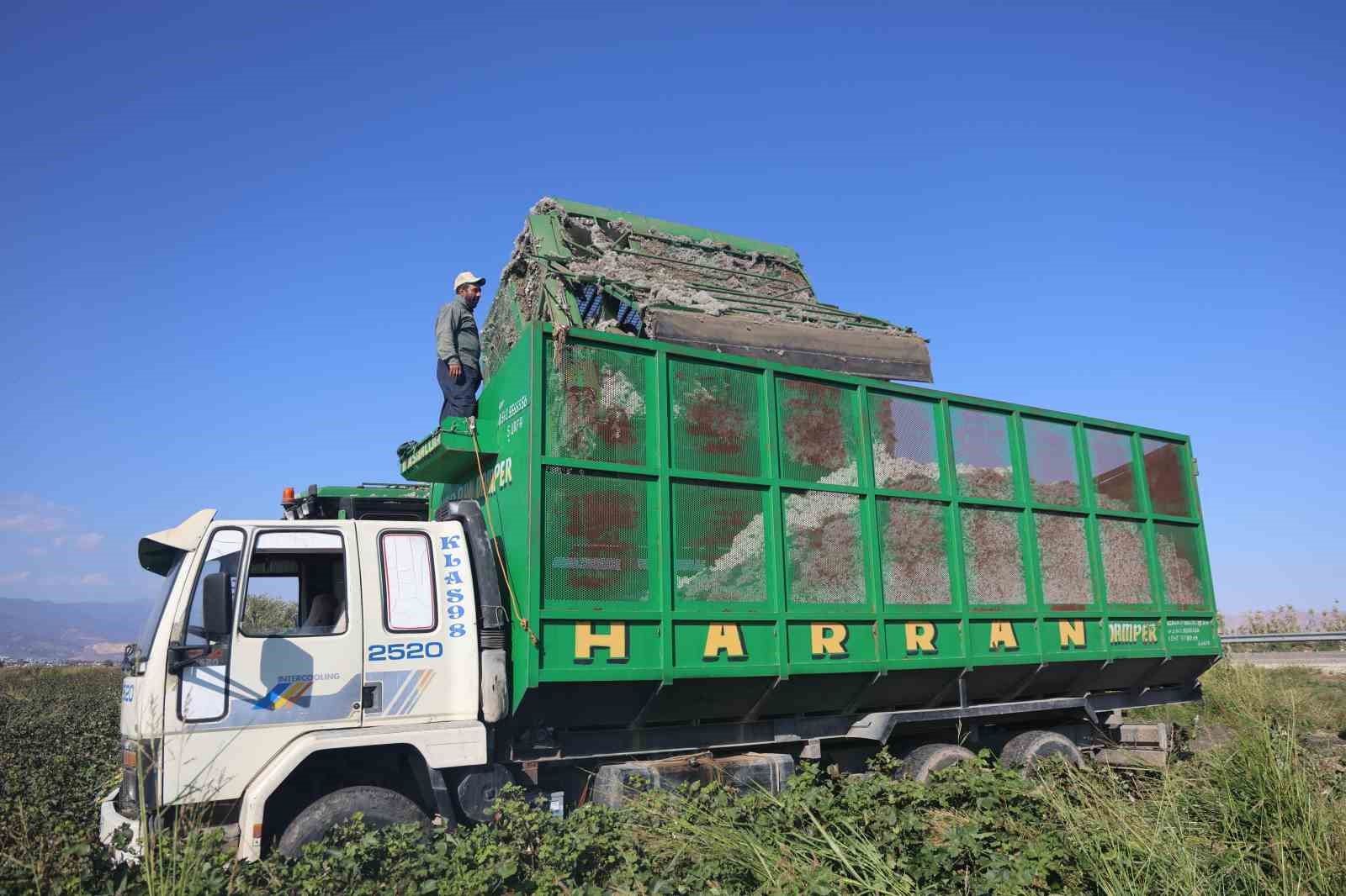 Beyaz altın pamukta kuraklık rekolteyi etkiledi