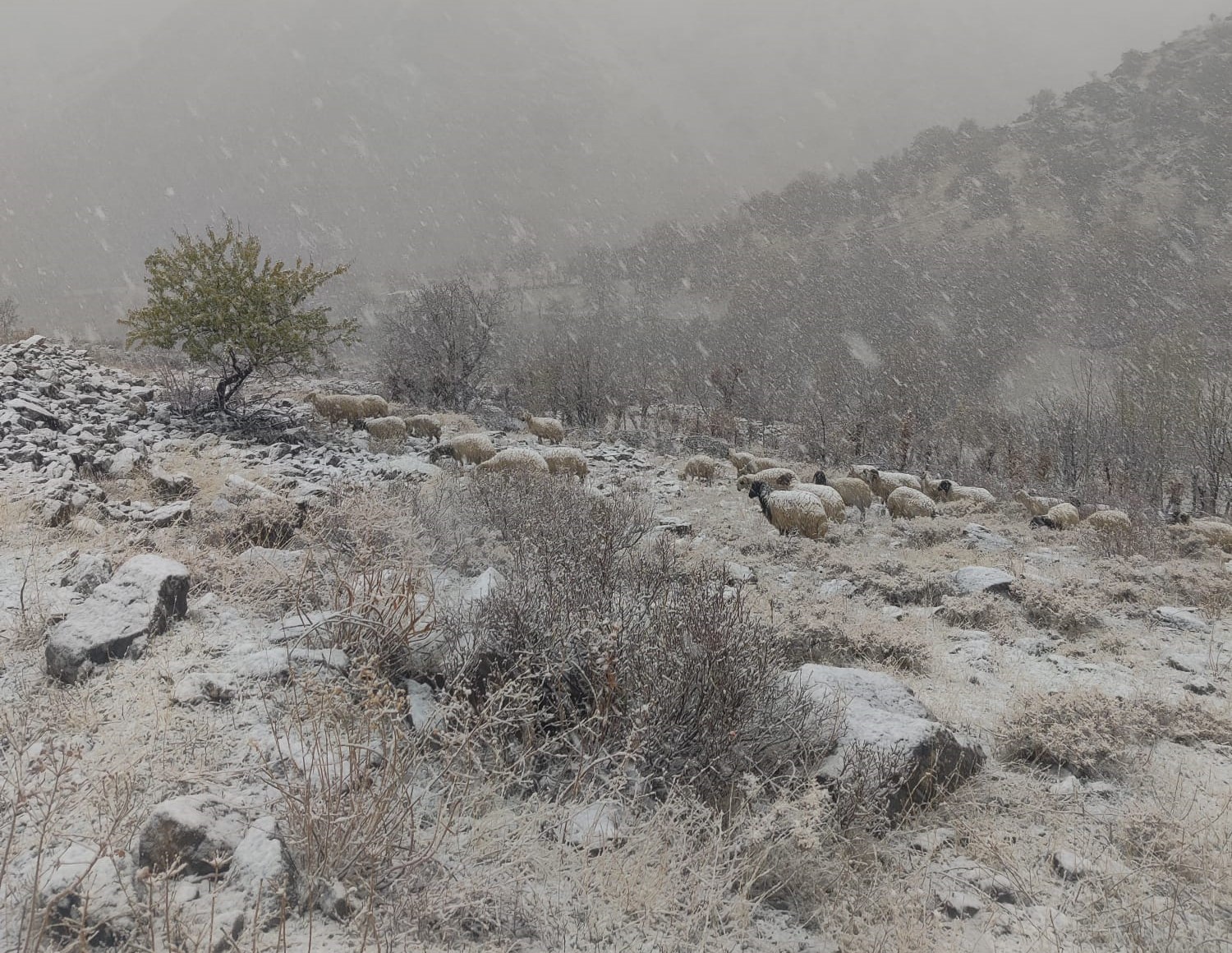 Van Bahçesaray’da kar esareti başladı