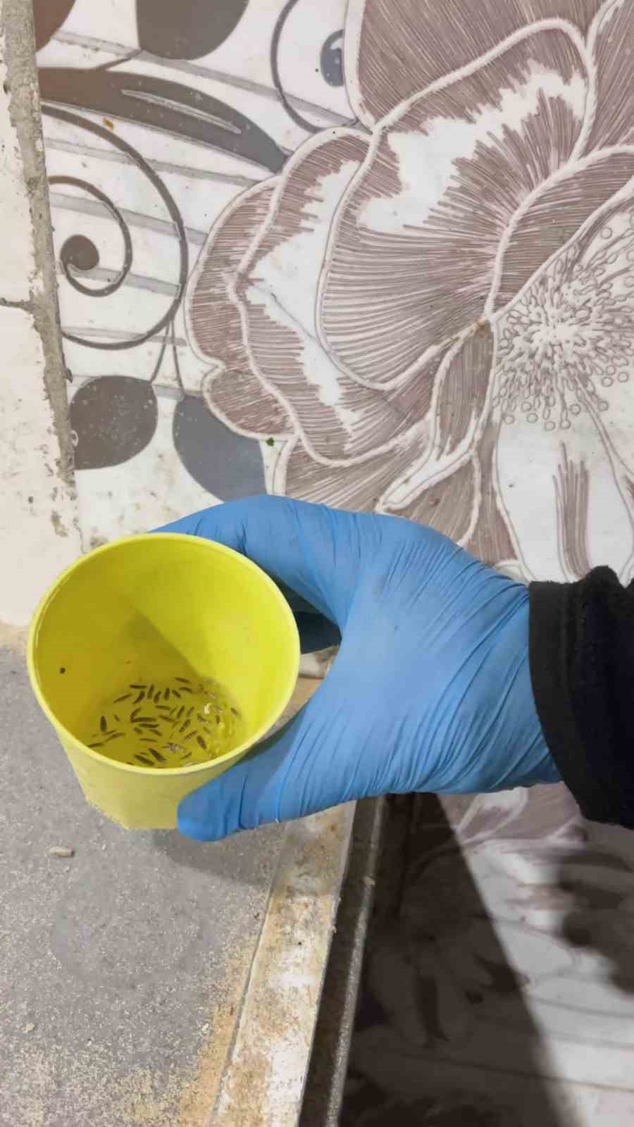 Fırın denetiminde mide bulandıran görüntüler