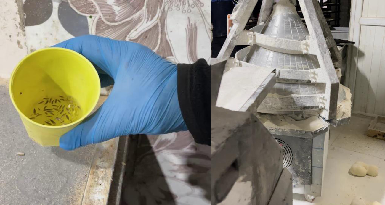 Fırın denetiminde mide bulandıran görüntüler