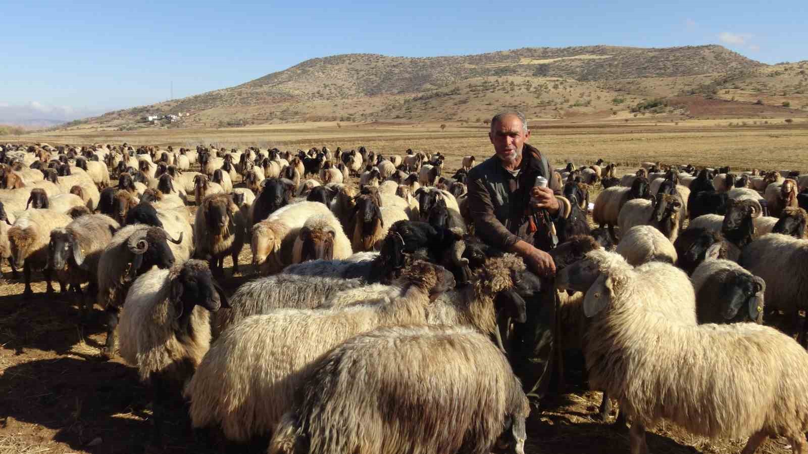 Göçerlerin zorlu yolculuğu