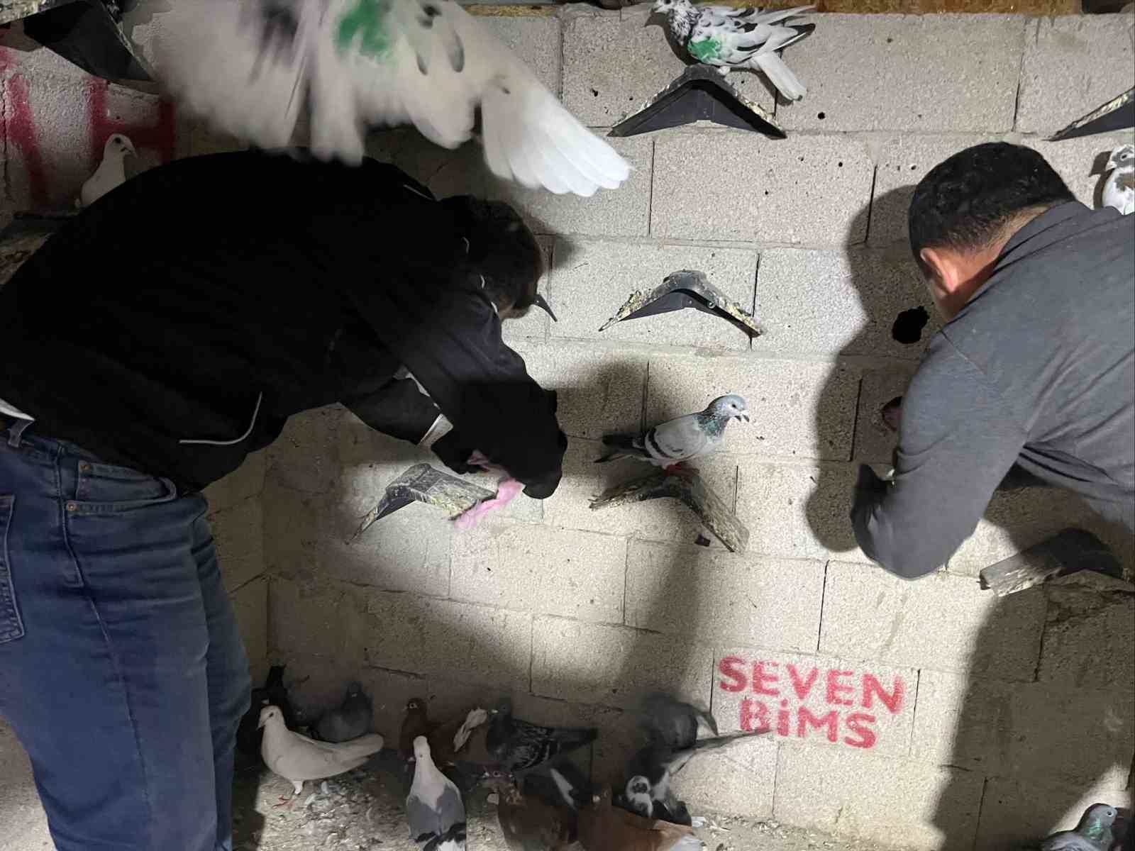 Hatay’da Kuş Kümesinde Uyuşturucu Ele Geçirildi!