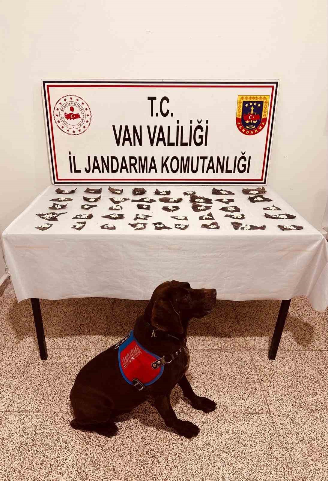 Van’da kapsülün içinden ilaç yerine uyuşturucu çıktı