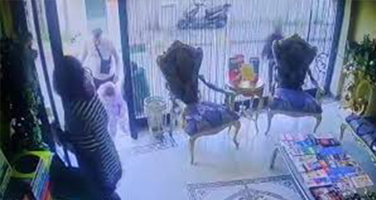 Böcek ailesinin ölümü: Soruşturmada yeni gelişme