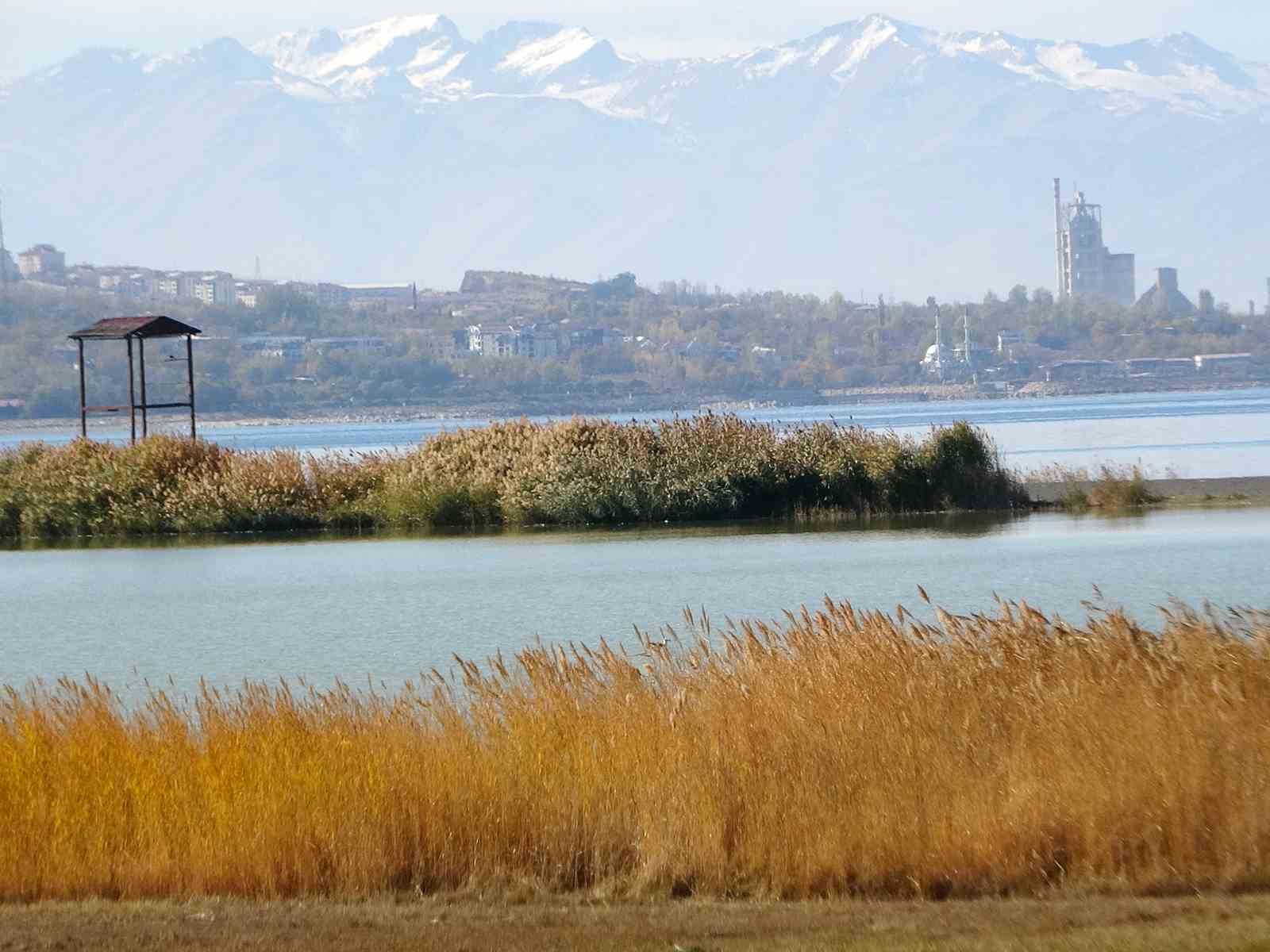 Kuşların Cenneti Van Gölü Havzası Tehlikede!