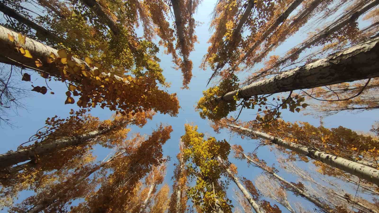 Van Kalesi ve Atatürk Kültür Parkı ziyaretçilerin gözdesi oldu