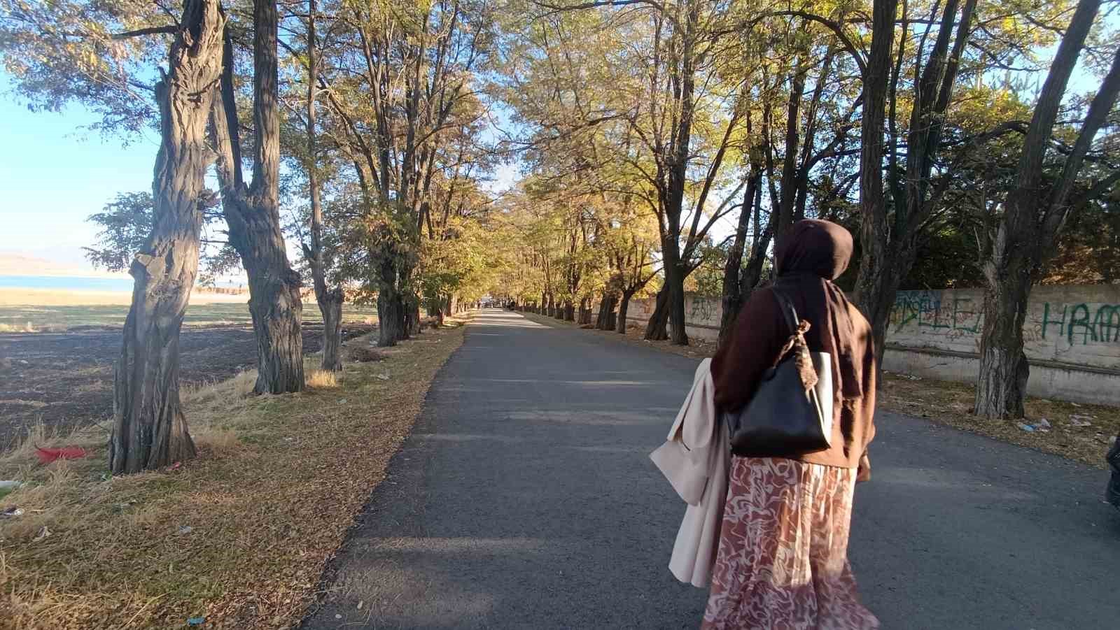 Van’da sonbahar renk cümbüşü