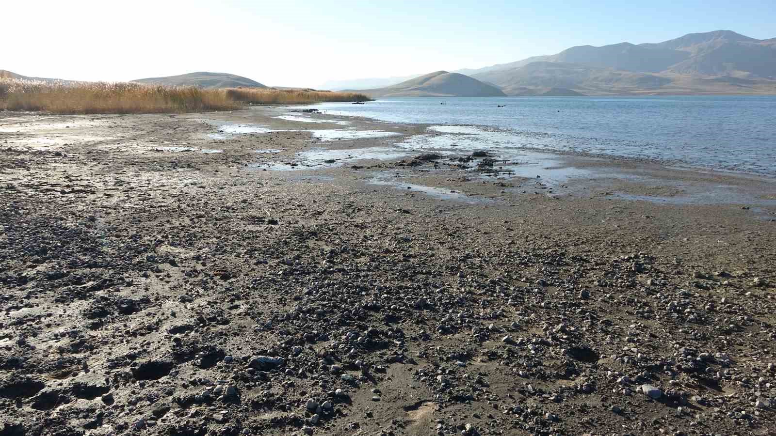 Van’ın Erçek Gölü’nde su çekilince mikrobiyalitler ortaya çıktı